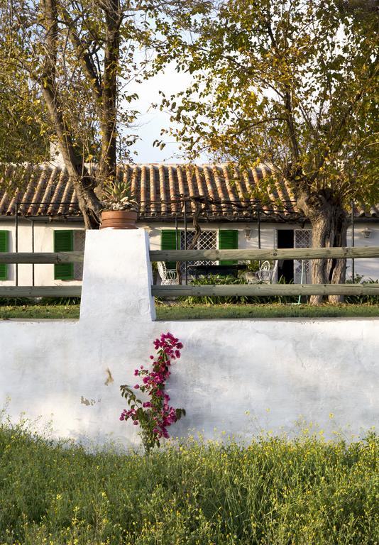 Cuevas Del Pino Turismo Rural Y Emocional Sl Villarrubia Zewnętrze zdjęcie