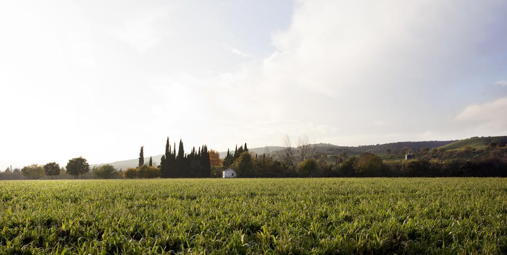 Pensjonat Cuevas Del Pino Turismo Rural Y Emocional Sl Villarrubia Zewnętrze zdjęcie