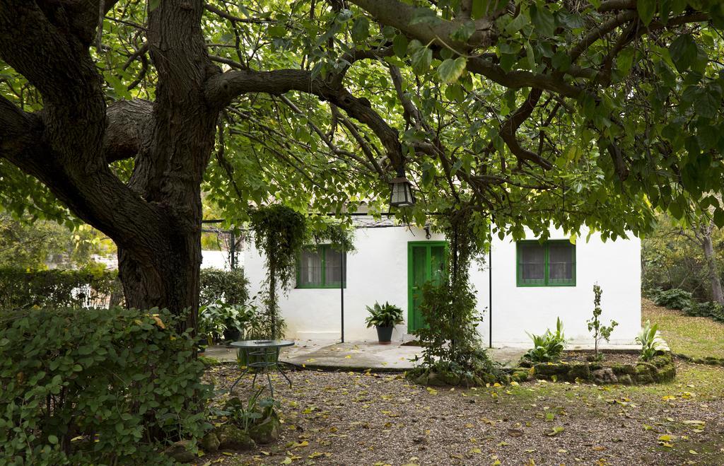 Cuevas Del Pino Turismo Rural Y Emocional Sl Villarrubia Zewnętrze zdjęcie