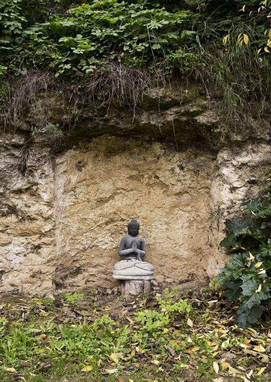 Cuevas Del Pino Turismo Rural Y Emocional Sl Villarrubia Zewnętrze zdjęcie